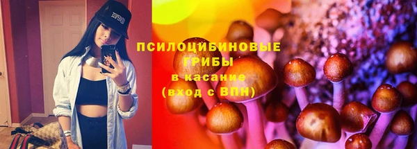прущие грибы Алзамай
