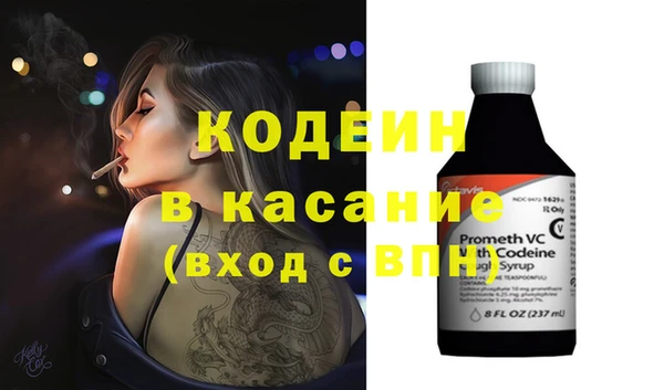прущие грибы Алзамай