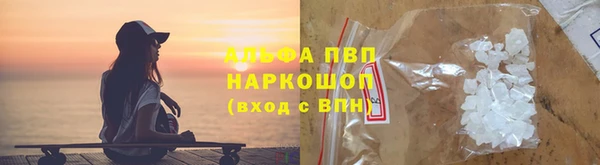 прущие грибы Алзамай